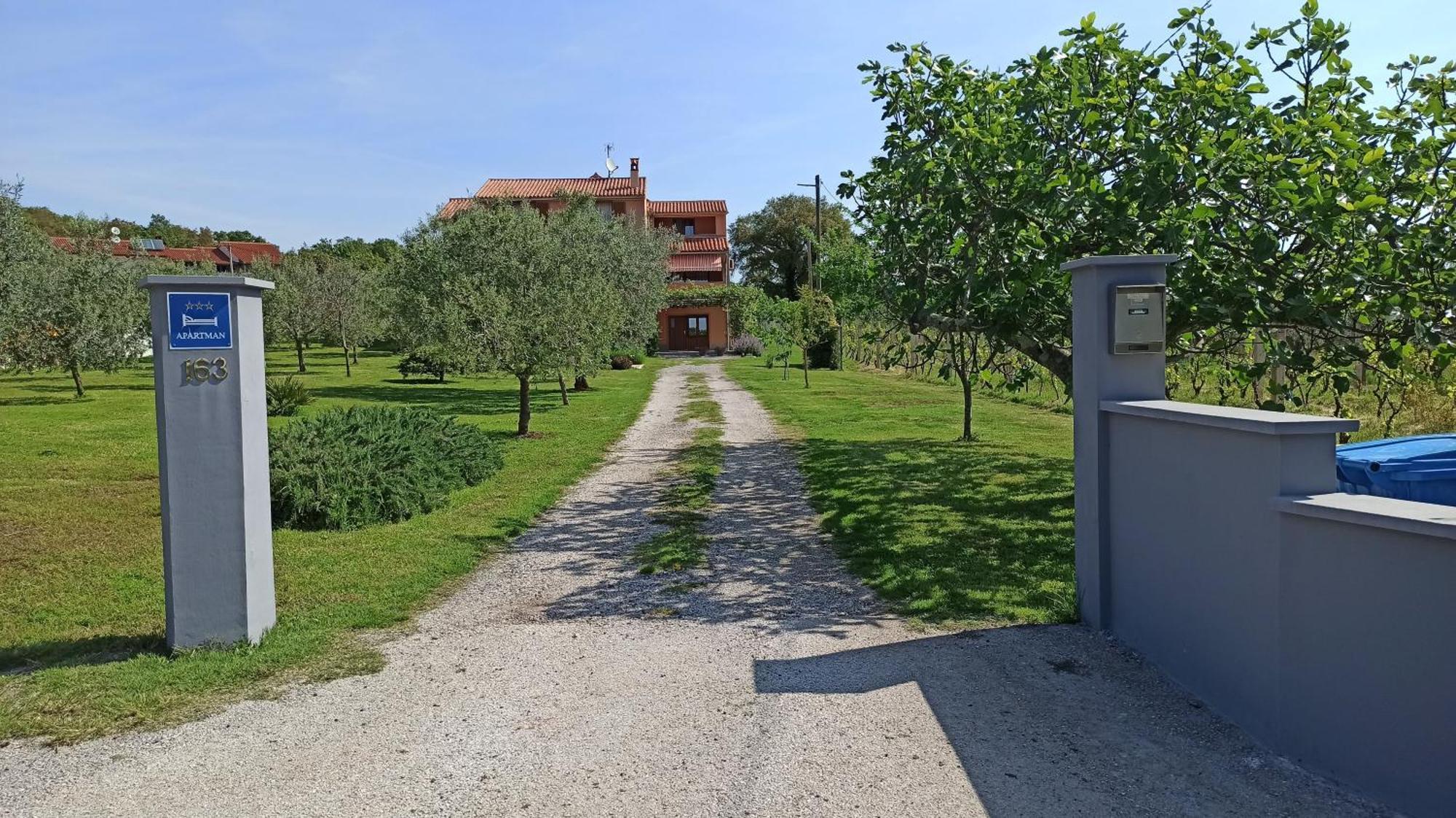 Neue In Loborika Mit Grosser Terrasse